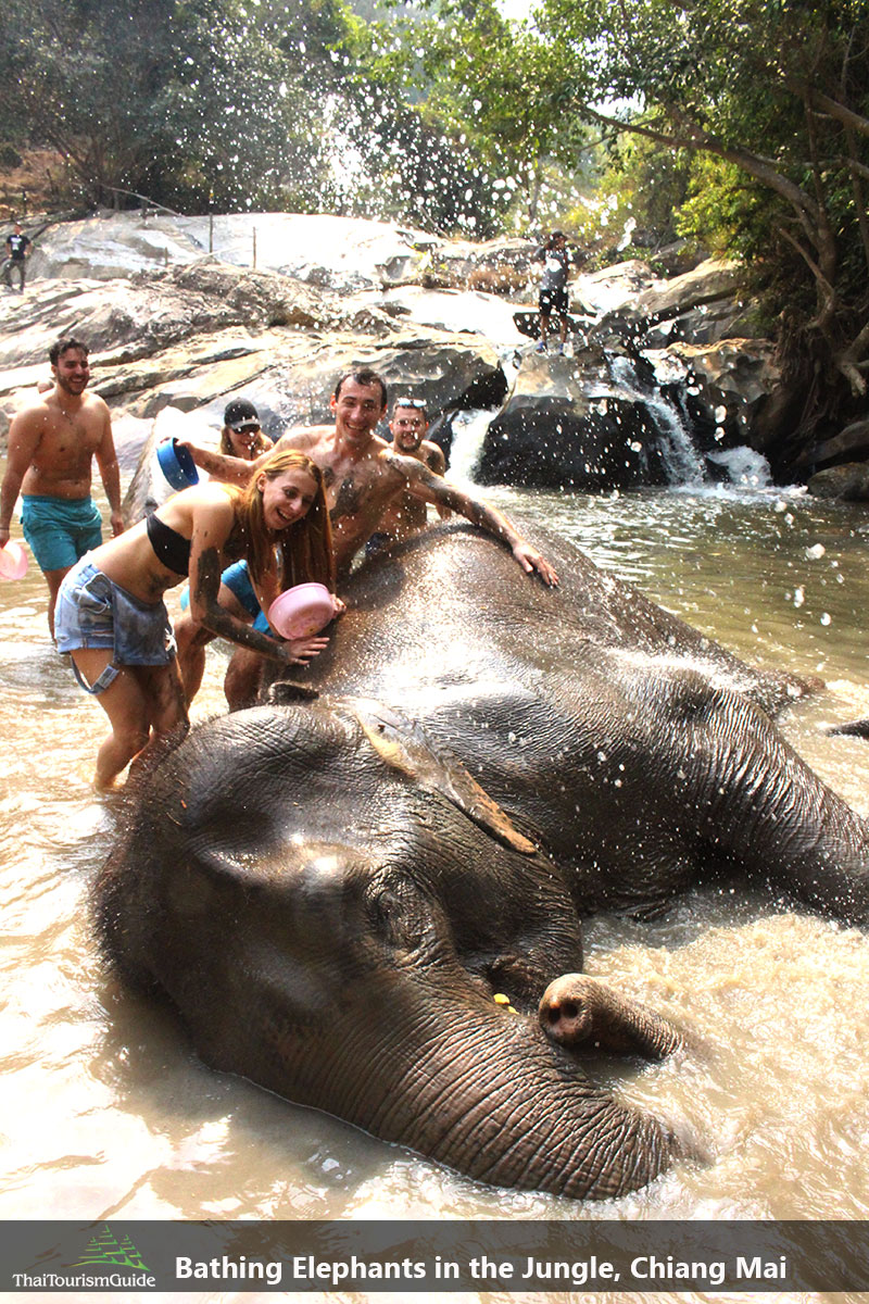 Bathing Elephants at the best elephant sanctuary Chiang Mai