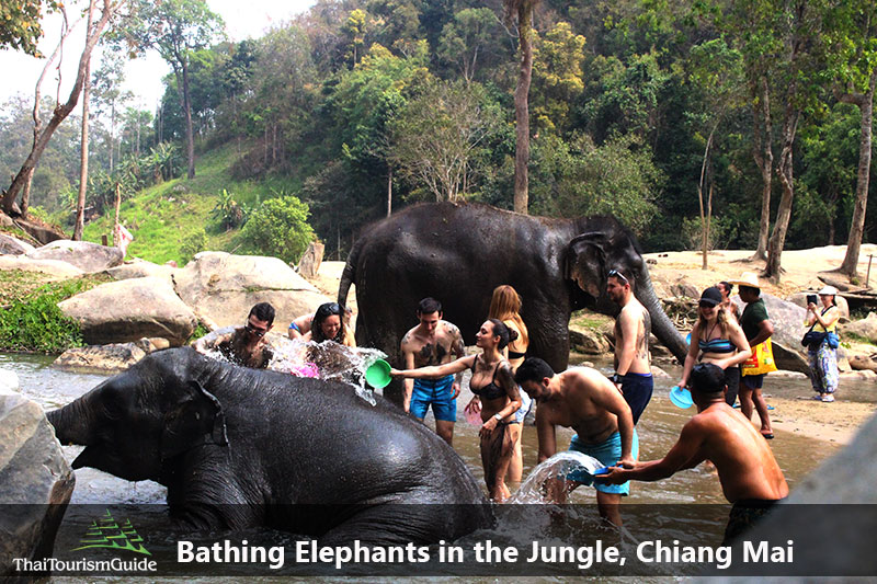 Eco Tourism Bathing with Elephant Tour Chiang Mai in Thailand.