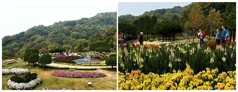 Garden at King and Queen Pagodon