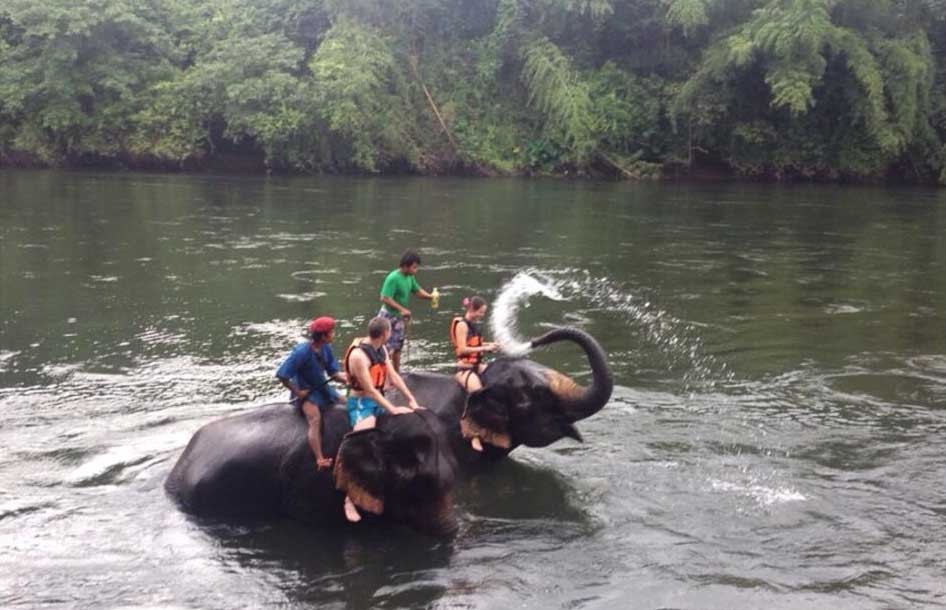 Twilight Elephant Bath at Taweechai Elephant Camp