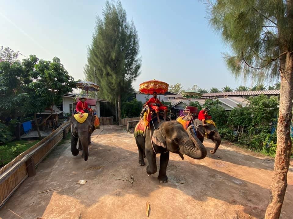 Damnoen Saduak, Elephant Riding and Nakhon Pathom Trip