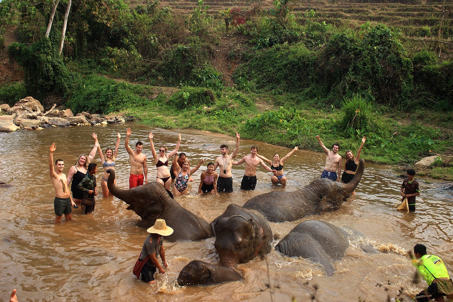 Chiang Mai Elephant Jungle Sanctuary