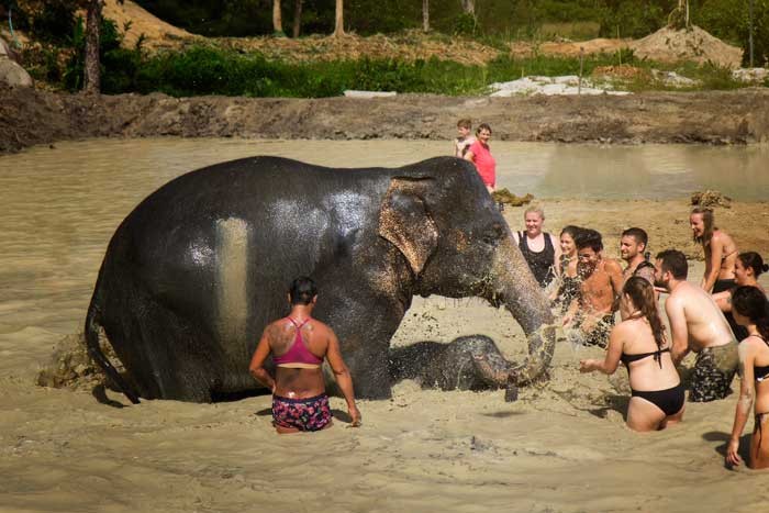 Elephant Jungle Sanctuary Phuket