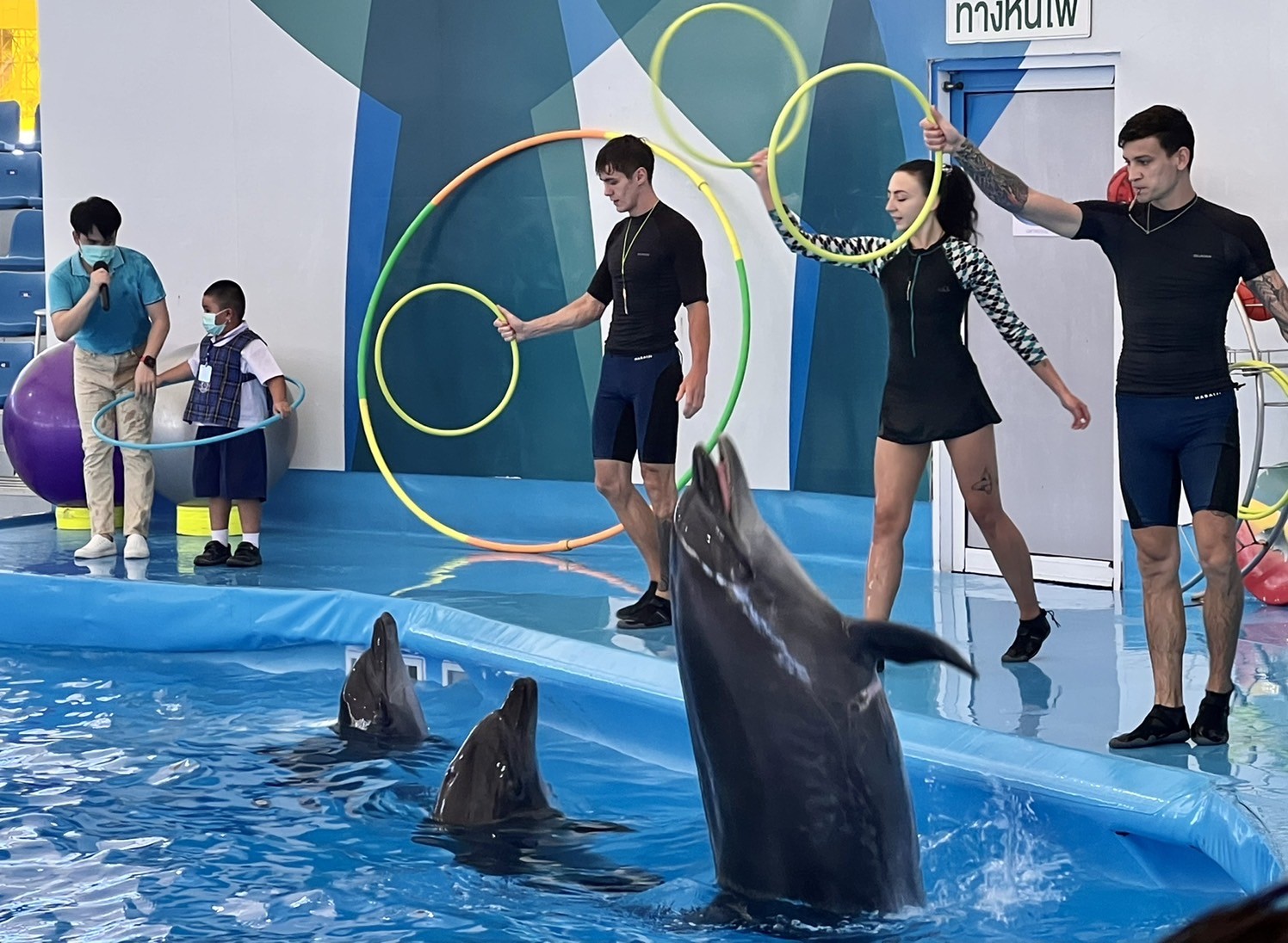 Pattaya Dolphinarium 