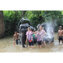 One Day Maewang Elephant Conservation