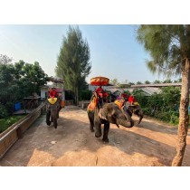 Damnoen Saduak, Elephant Riding and Nakhon Pathom Trip