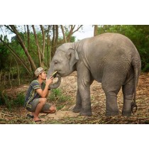 Elephant Jungle Sanctuary Pattaya