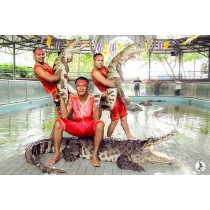 Million Years Stone Park and Crocodile Farm Pattaya 