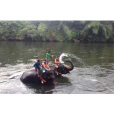 Twilight Elephant Bath at Taweechai Elephant Camp