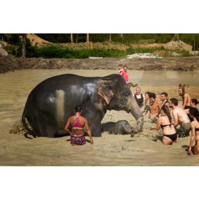 Elephant Jungle Sanctuary Phuket 