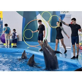 Pattaya Dolphinarium 