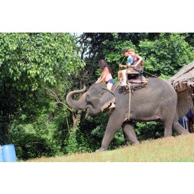 Elephant Ride at Taweechai Elephant Camp