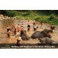 Bathing elephant package tour in Chiang Mai