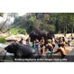Best elephant tour in chiang mai Bathing elephant Thailand