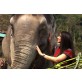 Best Elephant camp Chiang Mai