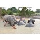 Elephant Jungle Sanctuary Pattaya