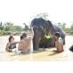 Elephant Jungle Sanctuary Pattaya