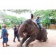 Combination Treking at Pattaya Elephant Village