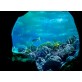 Underwater World in Pattaya