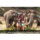 Best Elephant Sanctuary Chiang Mai