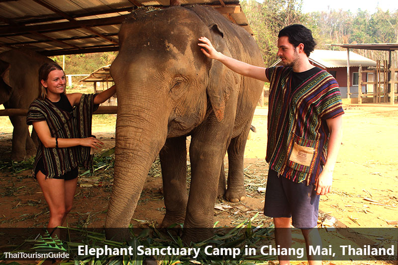 Elephant sanctuary Chiang Mai half day Tour