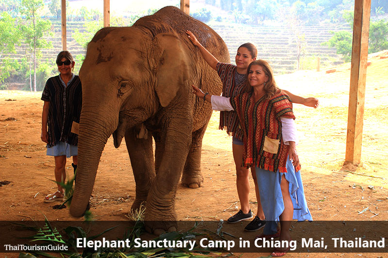 Half day elephant sanctuary Chiang Mai