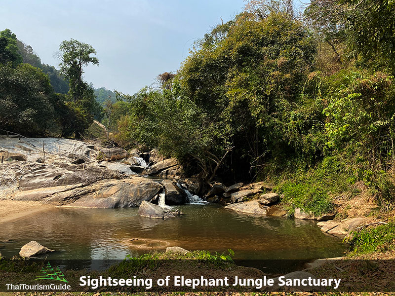 Sightseeing of Chiang Mai elephant tour in Thailand.